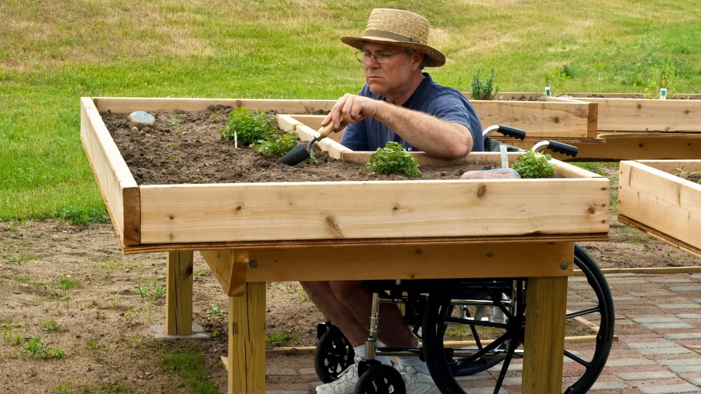 A man in a wheelchair gardening at a raised garden bed